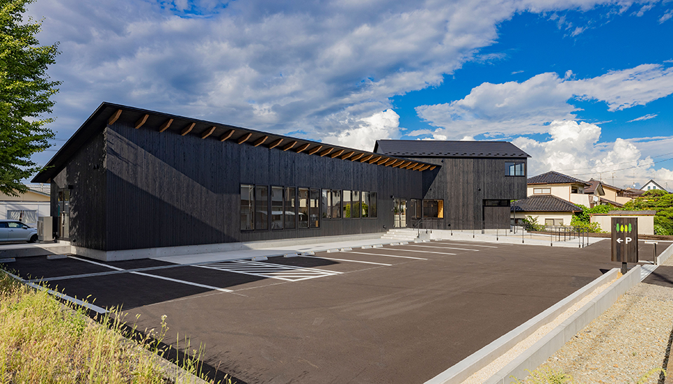 Under the Poplar Trees�摜�Q