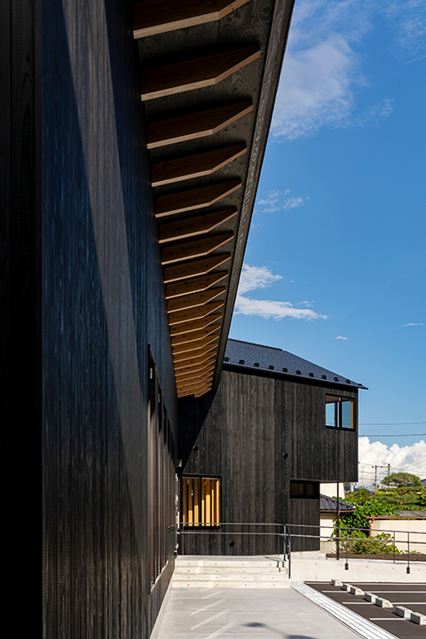 Under the Poplar Trees�摜�R