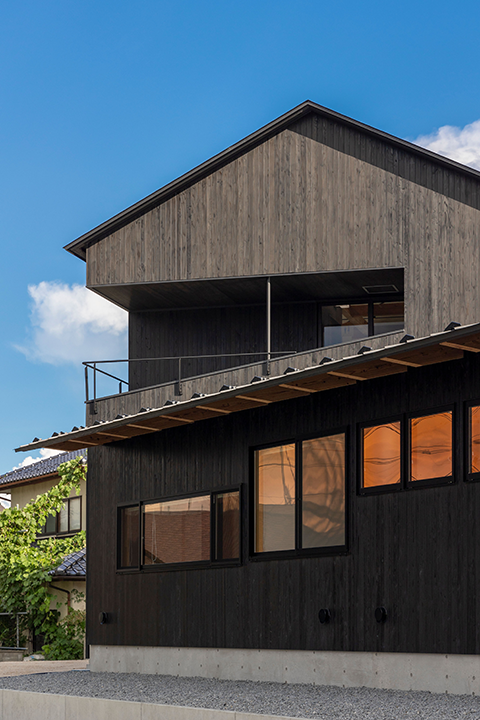 Under the Poplar Trees�摜�S