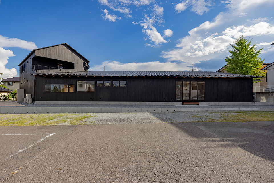 Under the Poplar Trees�摜�T