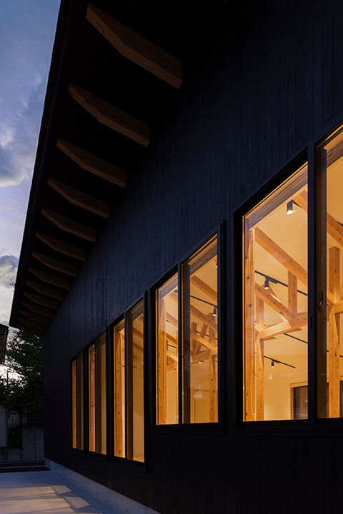 Under the Poplar Trees�摜�U