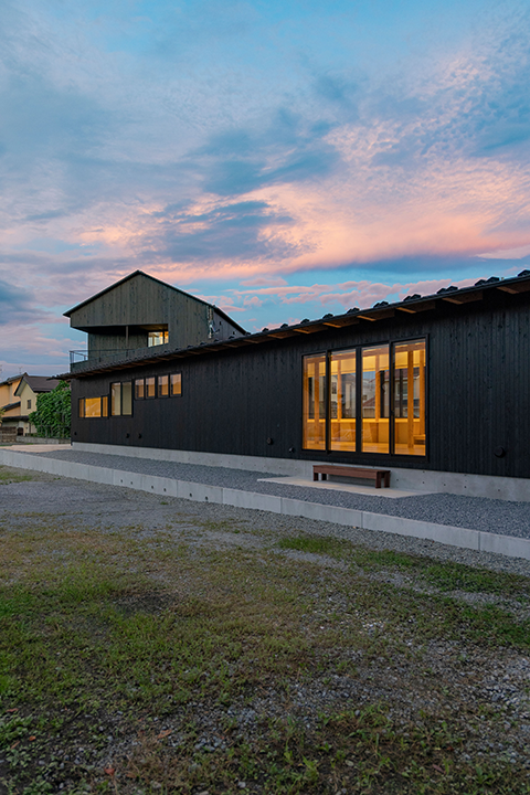 Under the Poplar Trees�摜�V